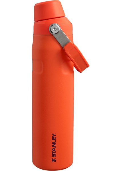 The Aerolight Iceflow Su Matarası Fast Flow 0.6 L Tigerlily