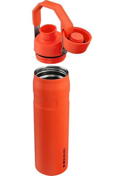 The Aerolight Iceflow Su Matarası Fast Flow 0.6 L Tigerlily