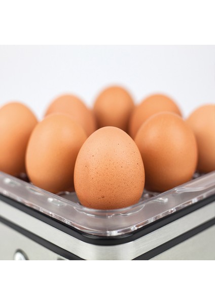 ED 10 Yumurta Pişirme Makinesi ve Buharlı Pişirici modelleri