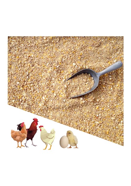 4 KG Proteinli Özel Tavuk ve Tüm Kanatlı Hayvanlar İçin Besi ve Yumurta Yemi 4 KG
