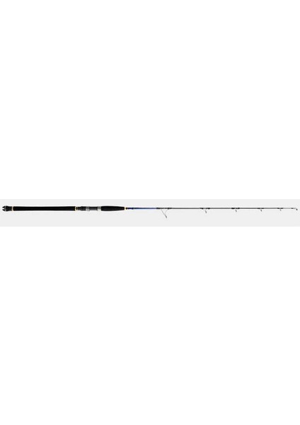 Amazing Fast Jigging Heavy 168 cm 80-200 gr Tek Parça Jig Kamışı