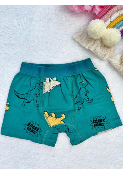Minykids Dinozor Desenli Boxer