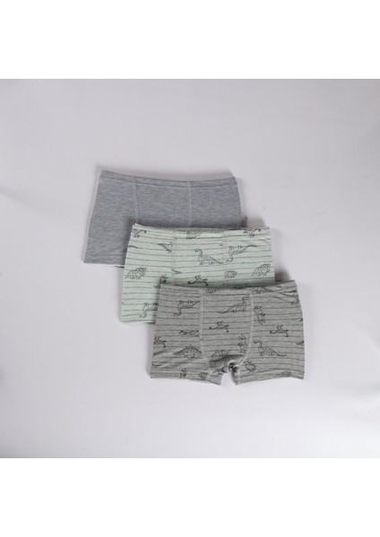 Minykids Dinozor Desenli 3'lü Boxer Set fiyatları