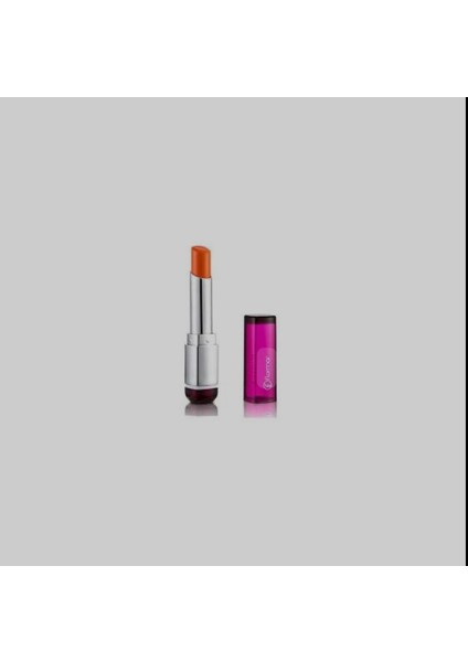 Long Wearing Ruj Lipstıck L026