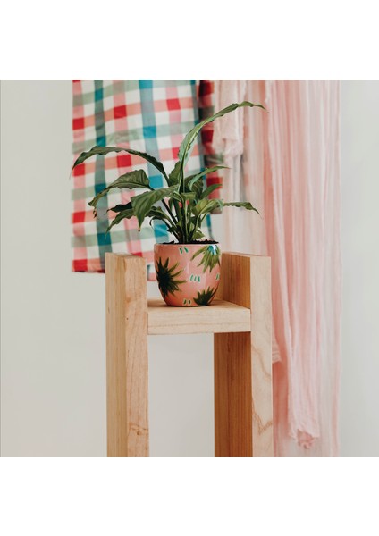 Ahşap Dergilik Minimalist Sehpa Kitaplık Doğal AHŞAP