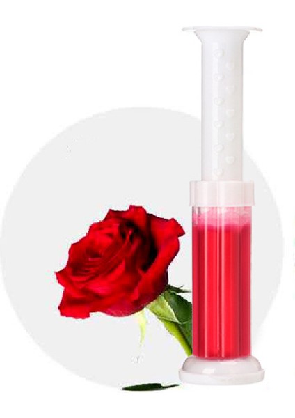 1 Adet Gül 6 Çeşit Tuvalet Çiçeği Temizleyici Jel Damga Tuvalet Kokusu Giderici 12 Çiçek Banyo Deodorantı Temizleme Iğnesi Ambientadores Gel De Banho (Yurt Dışından)
