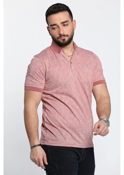 Kendinden Desenli Polo Yaka Erkek Tişört modelleri