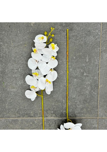 Islak Dokulu Tekdal Orkide 9 Çiçekli 87 cm (Beyaz) (Yapay Çiçektir)