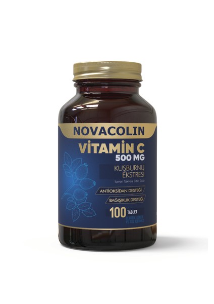 Vitamin C Rose Hips 500 Mg 100 Tablet