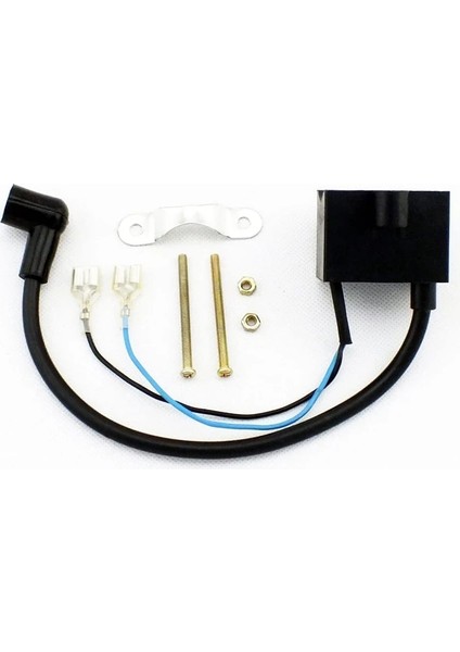 Motor Cdı Ateşleme Bobini Neto Stator Bobini Buji Kiti 2 Zamanlı Motorlu Bisiklet Bisiklet Için (Yurt Dışından)