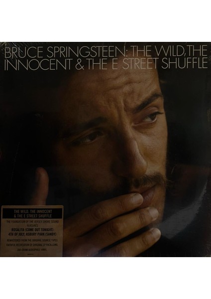 Bruce Springsteen – The Wild, The Innocent & The E Street Shuffle 2014 Baskı (Plak)