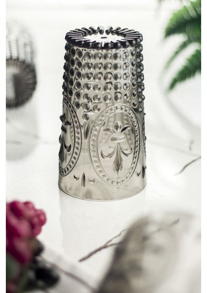 Akrilik Füme Tekli Uzun Bardak & Su Meşrubat Bardağı 750 ml ( Büyük Boy & Cam Değildir )