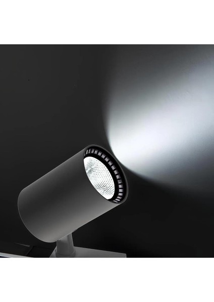 MX-3084 | 15W Siyah Kasa Iılık Beyaz Işık (4000K) LED Ray Spot| LED Aydınlatma | Ev Dekorasyonu Iç ve Dış Mekan Aydınlatma fırsatları
