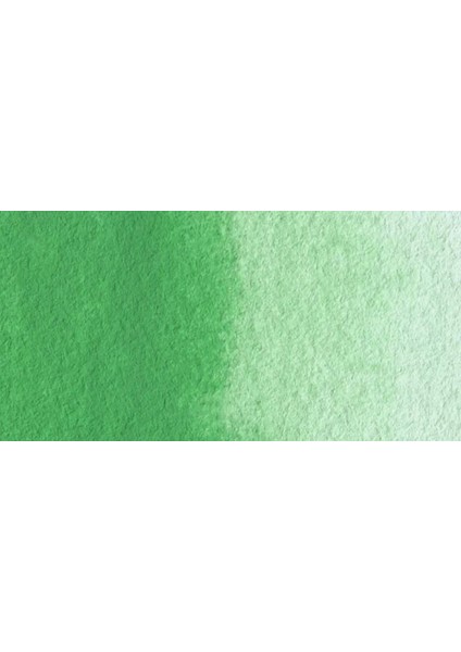 Blu 1/2 Tablet Sulu Boya S2 NO:316 Cobalt Green Light