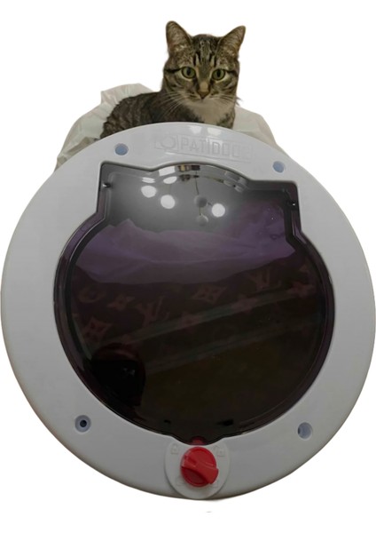 Blackcap Pati XXL Kedi Kapısı / Beyaz /Füme Camlı modelleri