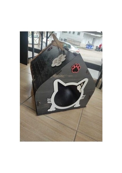 Kedi Evi