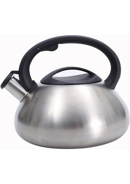 3l Paslanmaz Çelik Su Isıtıcısı, Kalınlaştırılmış Taban Eşit Olarak Isıtılmış Büyük Kapasiteli Su Isıtıcısı (Yurt Dışından)