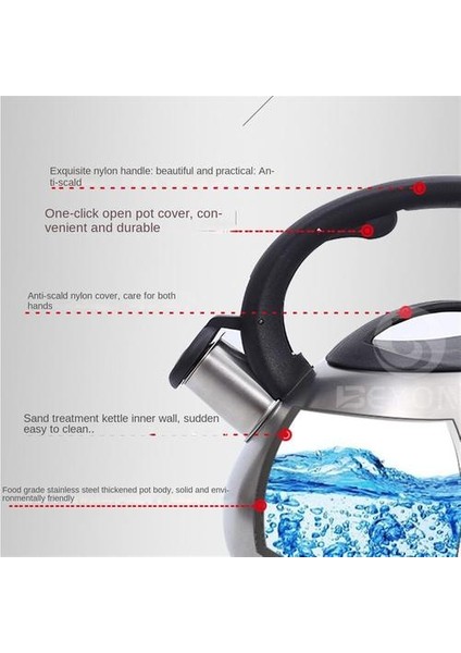3l Paslanmaz Çelik Su Isıtıcısı, Kalınlaştırılmış Taban Eşit Olarak Isıtılmış Büyük Kapasiteli Su Isıtıcısı (Yurt Dışından) modelleri