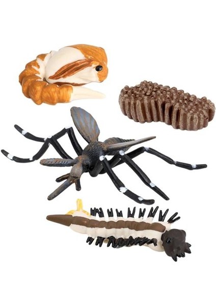 Çocuk Böcek Sivrisinek Büyüme Modeli Playset Öğrenme Biyoloji Oyuncaklar Temalı Parti (Yurt Dışından)
