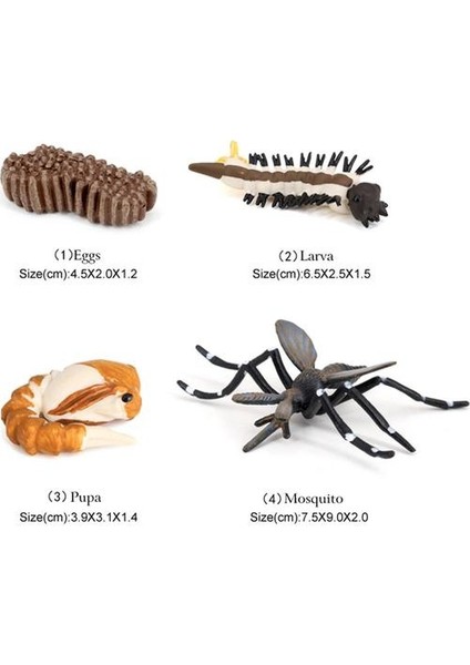 Çocuk Böcek Sivrisinek Büyüme Modeli Playset Öğrenme Biyoloji Oyuncaklar Temalı Parti (Yurt Dışından)