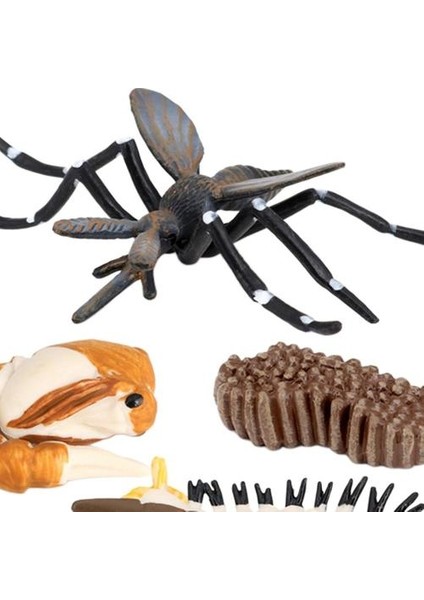 Çocuk Böcek Sivrisinek Büyüme Modeli Playset Öğrenme Biyoloji Oyuncaklar Temalı Parti (Yurt Dışından)
