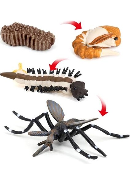 Çocuk Böcek Sivrisinek Büyüme Modeli Playset Öğrenme Biyoloji Oyuncaklar Temalı Parti (Yurt Dışından)