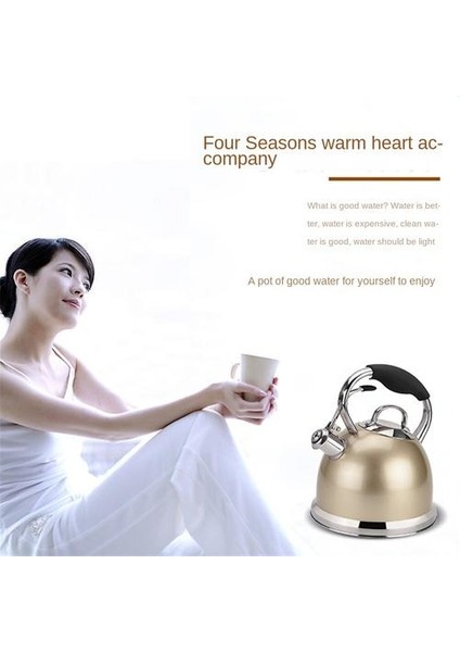 3l Paslanmaz Çelik Su Isıtıcısı, Büyük Kapasite, Su Isıtıcısını Açmak Için Eşit Olarak Isıtıldığında Düdükleyebilir (Yurt Dışından) modelleri
