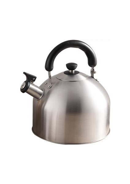 4.5l Paslanmaz Çelik Su Isıtıcısı, Büyük Kapasiteli Isı Iletimi Hızla Kalınlaşmış Taban Açık Su Isıtıcısı (Yurt Dışından)