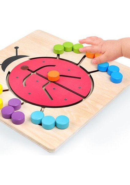 Eğitim Ahşap Oyuncaklar Çocuklar Renkli Geometri Bilişsel Öğrenme Panosu Okul Öncesi Oyuncak Matematik Sayma Oyunu | (Yurt Dışından)