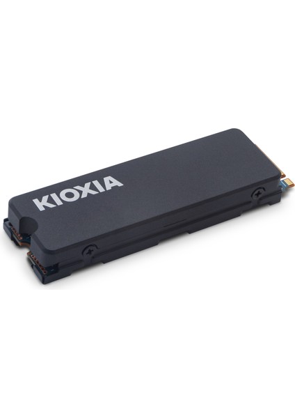 Pcıe M2 4tb Exceira Heatsink 6200/4800 Mb/sn Nvme Ps5 Uyumlu Soğutuculu SSD (LSC11K4T09G8)