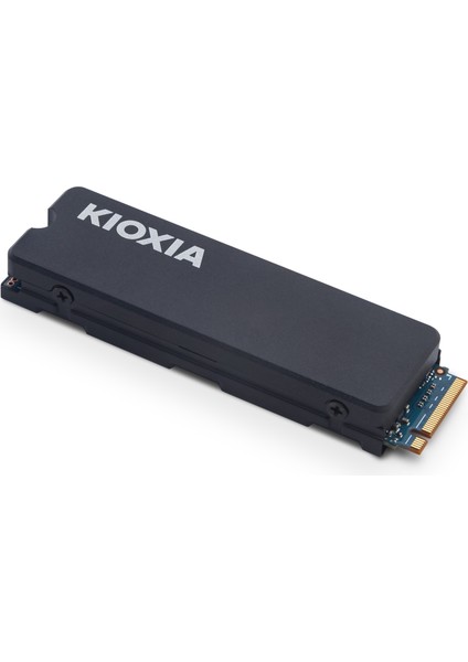 Pcıe M2 4tb Exceira Heatsink 6200/4800 Mb/sn Nvme Ps5 Uyumlu Soğutuculu SSD (LSC11K4T09G8)