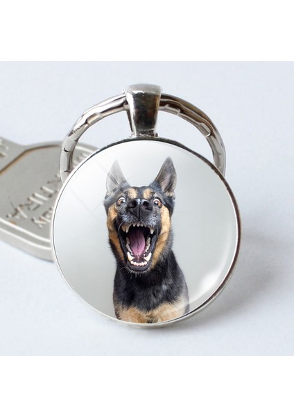 No.1 Boyutu Sevimli Köpek Cam Kubbemli Köpek Aşığa Metal Araba Anahtarlık Anahtarlık Anahtarlıklar (Yurt Dışından) indirimleri