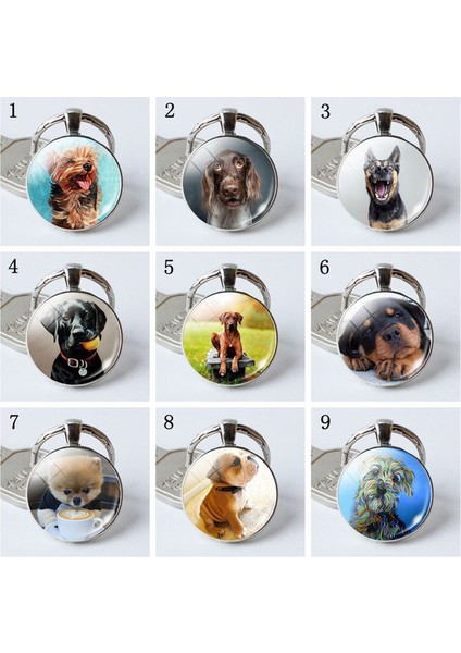 No.9 Boyutu Sevimli Köpek Cam Kubbemli Köpek Aşığa Metal Araba Anahtarlık Anahtarlık Anahtarlıklar (Yurt Dışından) modelleri