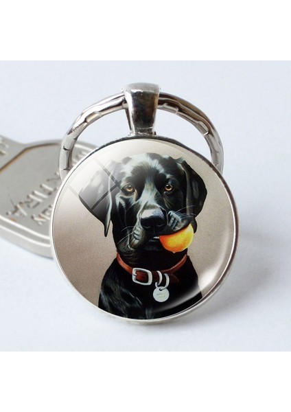 No.3 Boyutu Sevimli Köpek Cam Kubbemli Köpek Aşığa Metal Araba Anahtarlık Anahtarlık Anahtarlıklar (Yurt Dışından) fiyatları