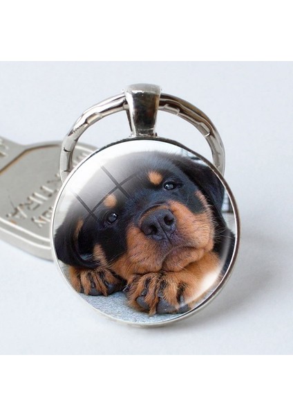 No.6 Boyutu Sevimli Köpek Cam Kubbemli Köpek Aşığa Metal Araba Anahtarlık Anahtarlık Anahtarlıklar (Yurt Dışından)