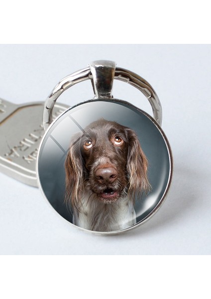 No.6 Boyutu Sevimli Köpek Cam Kubbemli Köpek Aşığa Metal Araba Anahtarlık Anahtarlık Anahtarlıklar (Yurt Dışından) fırsatları