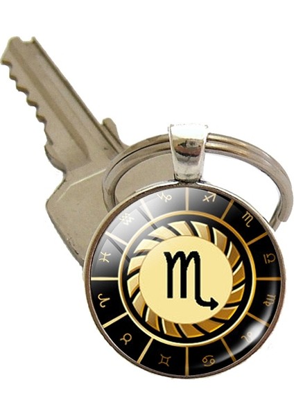 Gümüş Tarzı Başak Başak Terazi Akrep Yay Oğlak Kova Koç Boğa Ikizler Yengeç Aslan Anahtarlık Burç Sanat Resim Cam Kubbem Anahtarlık Moda Araba Anahtarlık (Yurt Dışından) fırsatları