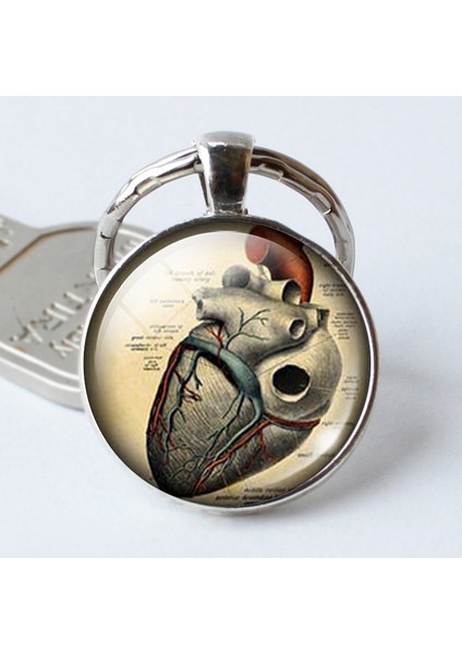 No.5 Boyutu Vintage Anatomik Kalp Gazete Kolye.Anatomik Kalp Anahtarlık.Anatomik Kalp Takı.Doğum Günü si (Yurt Dışından)