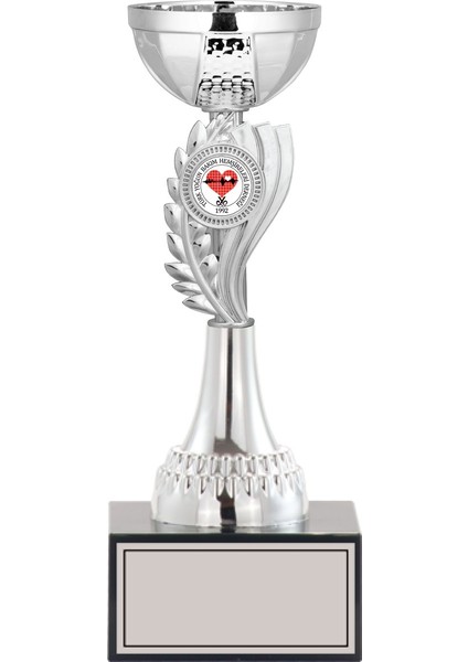 Kişiye Özel Başarı Kupası-Futbol Kupası-Tören Kupası-Okul Kupası-Birincilik Kupası-Şampiyonluk Kupası-Turnuva Kupası Ödül Kupası S23 26 cm