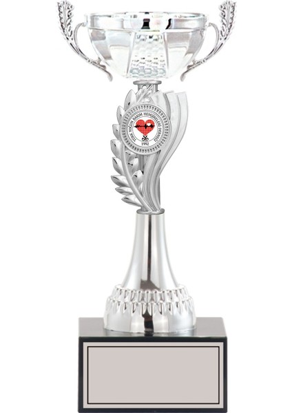 Kişiye Özel Başarı Kupası-Futbol Kupası-Tören Kupası-Okul Kupası-Birincilik Kupası-Şampiyonluk Kupası-Turnuva Kupası S24 28 cm