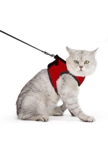 Kedi Gezdirme Boyun Tasması