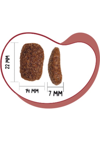 4 kg Tavuklu Classic Adult Köpek Maması