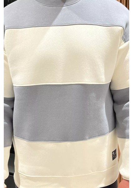 Bisiklet Yaka Renk Garnili Üç Iplik Şardonlu Erkek Sweatshirt fırsatları