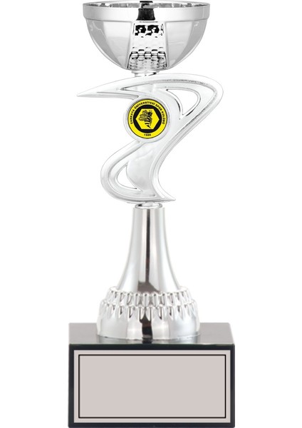 Kişiye Özel Futbol Kupa Takımı-Ödül Kupası-Turnuva Kupası-Kupa Seti-Okul Kupa Takımı-Ödül Kupa Takımı S027 3'lü Takım modelleri