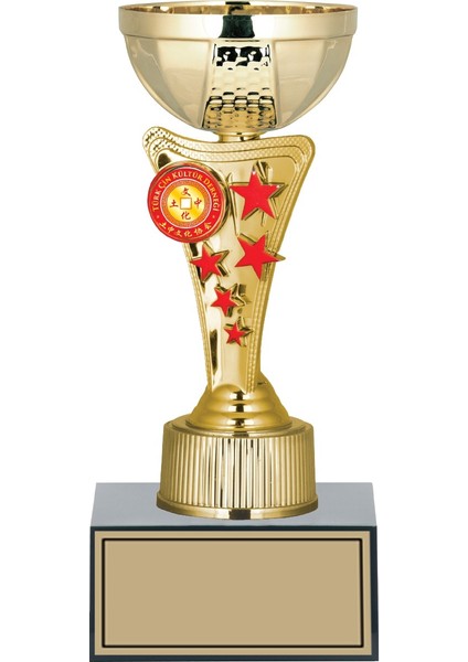 Kişiye Özel Başarı Kupası-Futbol Kupası-Tören Kupası-Okul Kupası-Birincilik Kupası-Şampiyonluk Kupası-Turnuva Kupası Ödül Kupası S029 22 cm