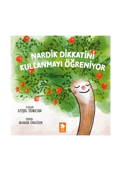 Nardik Dikkatini Kullanmayı Öğreniyor - Ayşıl Tokcan