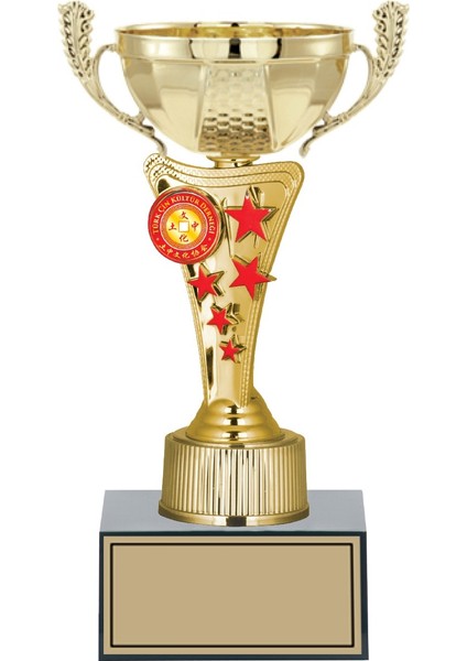 Kişiye Özel Başarı Kupası-Futbol Kupası-Tören Kupası-Okul Kupası-Birincilik Kupası-Şampiyonluk Kupası-Turnuva Kupası S030 24 cm