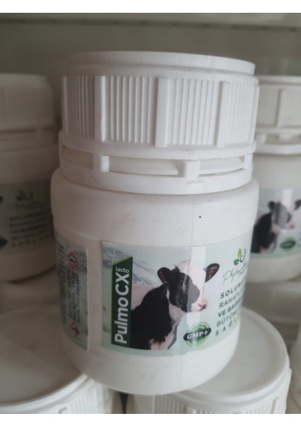 Pulmo Cx Lacto (Is Hal Önleyici) Buzağılarınız Ölmesin