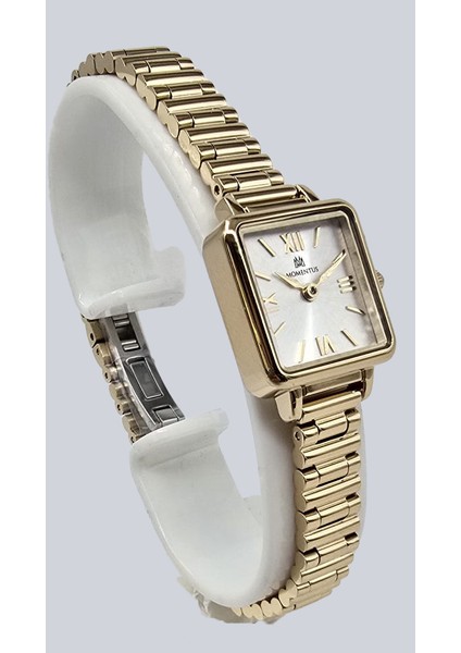 CW312G-02SG Momentus Women\'s Classy Kol Saati fiyatları