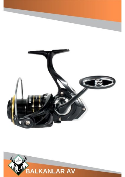 Big Bass 240CM 10-40GR Remixon Focus Gold 3000 8 Örgü Spin Olta Seti